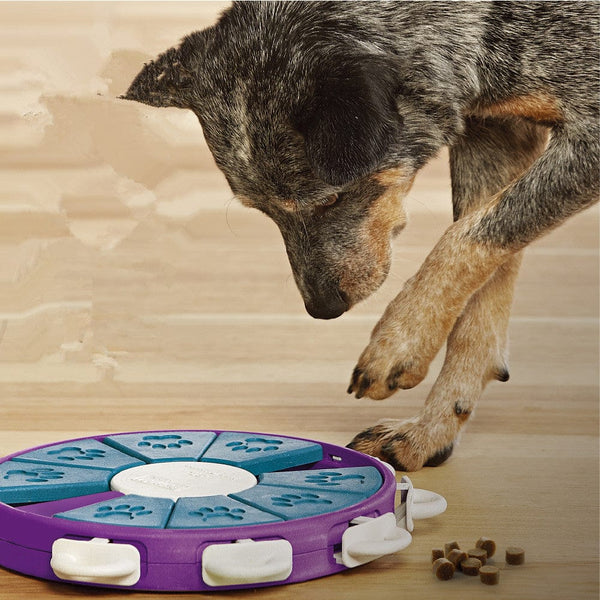 Premium Dog educational toys -  from Empire of LaTz - Only £26! Explore at Empire of LaTz