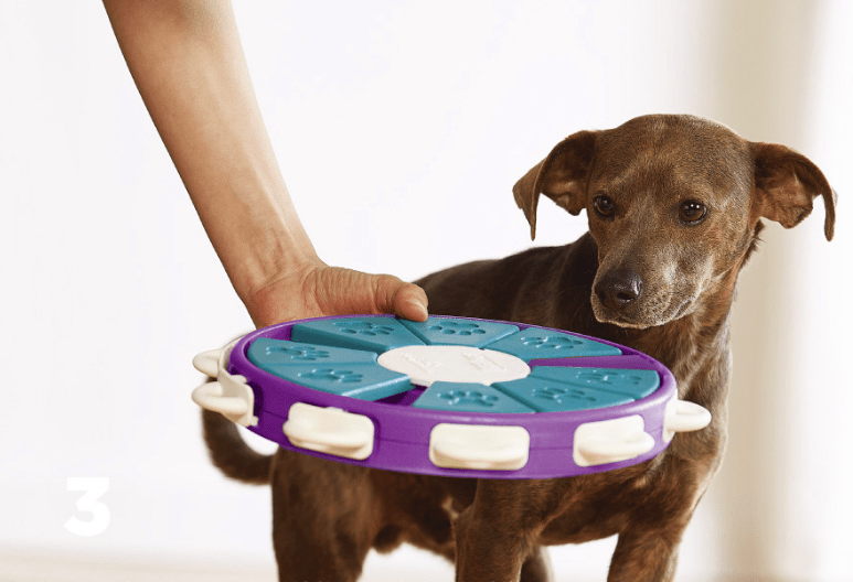 Premium Dog educational toys -  from Empire of LaTz - Only £26! Explore at Empire of LaTz