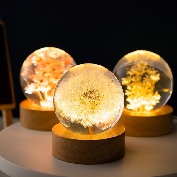 Premium Luminous 3D Dandelion Crystal Ball Beech Wood Stand Base Preserved Flower Sphere Ball Desktop Ornaments Bithday Christmas Gifts - LED Lights from Empire of LaTz - Only £25! Explore at Empire of LaTz