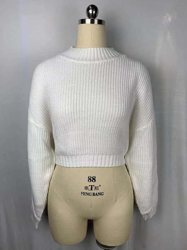 Premium Short section raglan sleeves half turtleneck sweater - Womens Clothing from Empire of LaTz - Only £24.99! Explore at Empire of LaTz